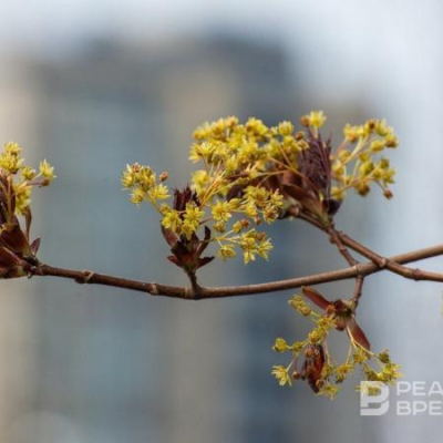 Теплая погода без осадков сохранится в Татарстане до начала апреля