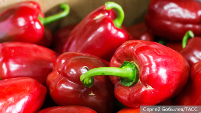 Песков: Путин и Лукашенко кратко обсуждали тему Армении в Астане