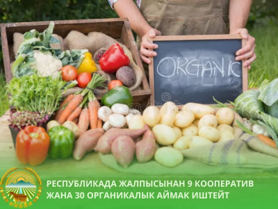 Кыргызстан расширяет экспорт органической продукции в 30 стран мира