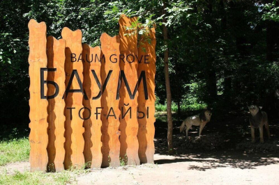 Активисты опасаются, что территории близ рощи Баума застроят элитными ЖК после ее благоустройства