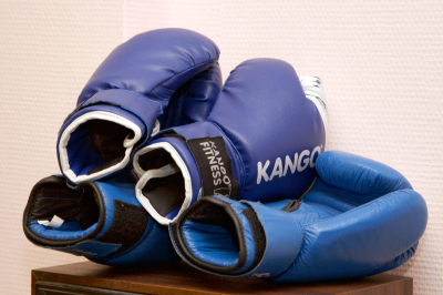 Минспорт РФ официально признал женское ММА видом спорта