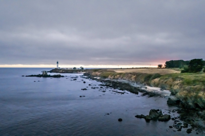 Во Франции за три месяца на берег выбросило трупы тысячи птиц