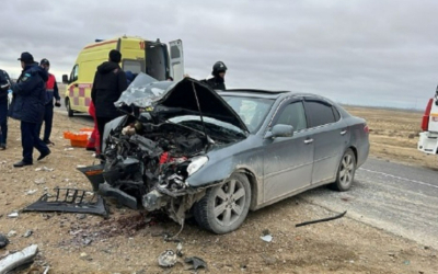 Чемпион Азии по ММА погиб в ДТП