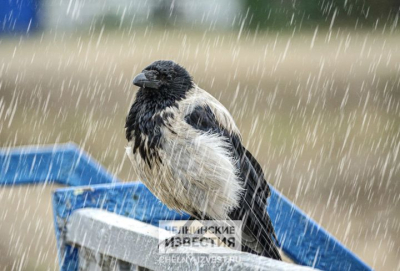 Циклон принесет в Татарстан дожди и мокрый снег