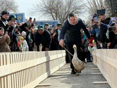 Старты для лапчатых