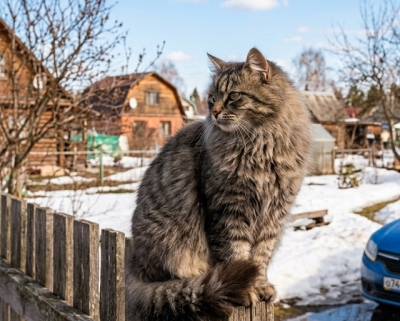 В преддверии Ураза-барама в Татарстане потеплеет до +12 градусов