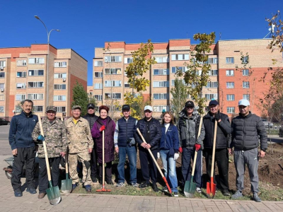 В Астане в жилом массиве Пригородный высадили более 700 деревьев