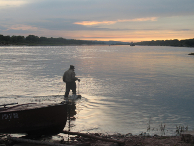На Крите поймали огромного ядовитого иглобрюха, который может перекусить металл