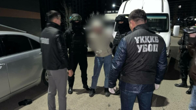 Красавица или чудовище