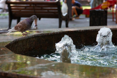 Климатолог Терешенок: летом в Москве возможна аномально жаркая погода