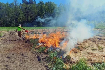 В Ивановской области с 30 апреля введут особый противопожарный режим