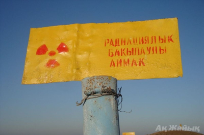 В Курмангазинском районе гибнут лошади — жители подозревают влияние радиации
