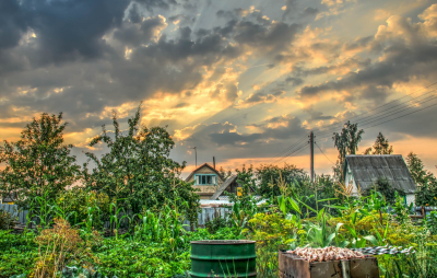 Винокуров: атомная энергетика в Приморье снизит нагрузку на экологию