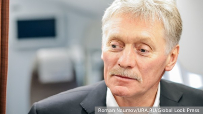 Глава ФПБК Бородин попросил проверить Меладзе после свадьбы украинской пары