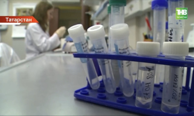 Названы города и районы Татарстана, где чаще всего кусают клещи