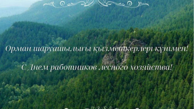 Марат Ахметжанов поздравил работников лесного хозяйства с профессиональным праздником