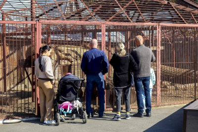 В День защиты детей Новосибирский зоопарк отменит плату для юных посетителей