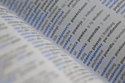 &laquo;Известия&raquo;: В&nbsp;России спецгруппа займется включением иностранной лексики в&nbsp;словари