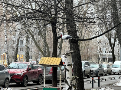 Мокрый снег, гололедица и не выше +7 градусов: непогода накрывает Татарстан