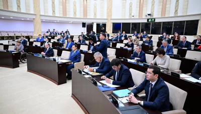 Сенат вернул в мажилис закон по вопросам начисления детям средств из Нацфонда