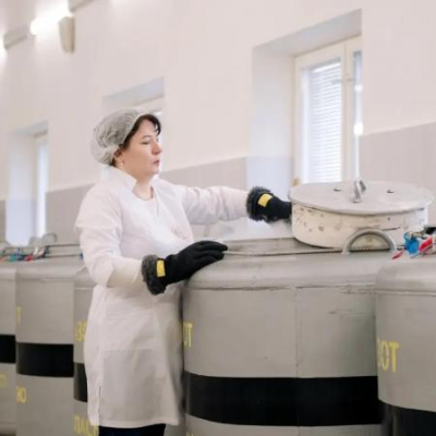 Почему корова не приходит в охоту?