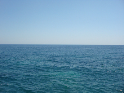 Ici: во Франции на берег выбросило свыше 45 тысяч мертвых птиц