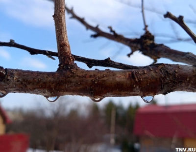 То дождь, то снег, то +18: апрель в Татарстане испытывает жителей на прочность