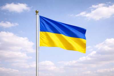 На Украину прибыла делегация МВФ во главе с Гэвином Греем