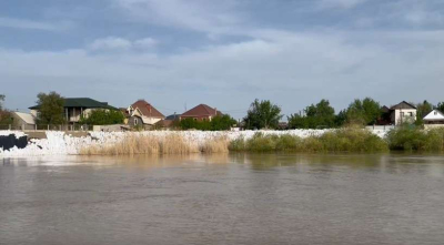 Вода в реке Жайык продолжает прибывать