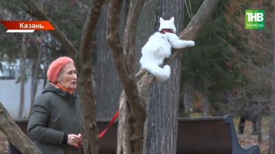 Премия Раиса республики: в Татарстане изменили статус наград конкурса &laquo;Добрый Татарстан&raquo;