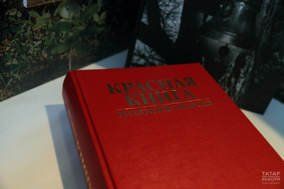 В Минприроды РФ опровергли слухи о разрешении на отстрел краснокнижных животных
